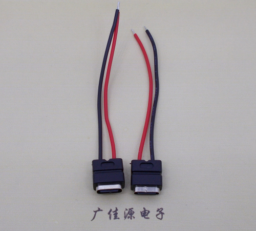 沙田镇type c2p防水母座焊线式带线注塑成型带接线端子/不带接线端子充电连接器
